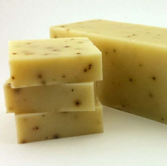 EUCALYPTUS ALOE Premium Handmade Natural Body Bar Soap, 5 oz (3 pack) - Picture 1 of 6
